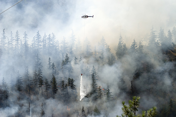 Wildfire Prediction and Detection Solutions